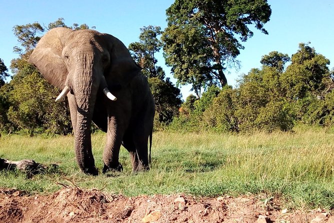 Arusha National Park Half Day Tour - Directions