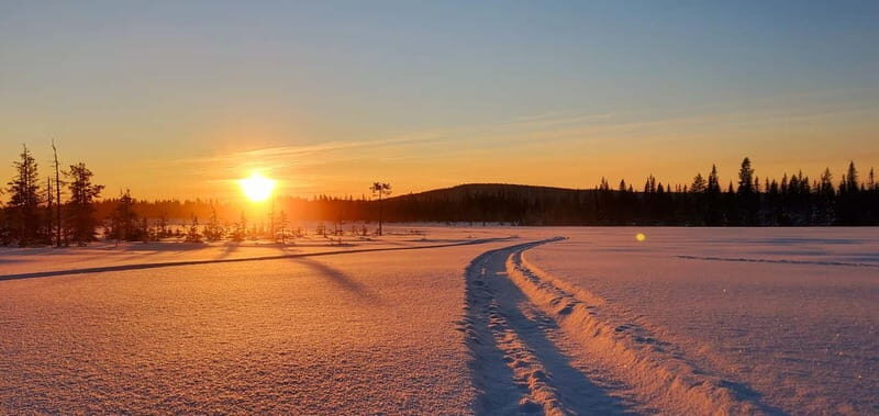 Arvidsjaur: 4h individual snowmobile tour in Swedish Lapland - Discovering the Lapland Snowmobile Experience
