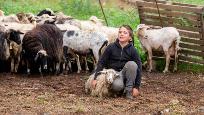 Arzana: Day With a Shepherd W/ Lunch in a Farm - Experience Details