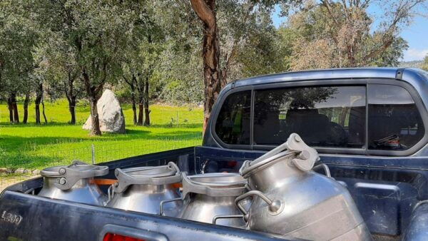 Arzana: Day With a Shepherd W/ Lunch in a Farm - Customer Review