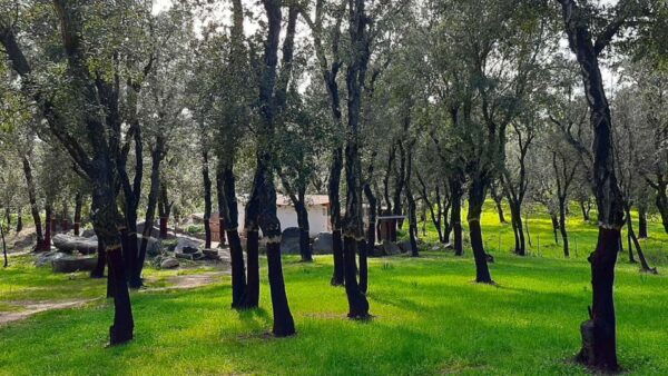 Arzana: Day With a Shepherd W/ Lunch in a Farm - Frequently Asked Questions