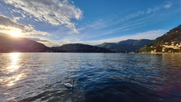As Blue Lake - 2 H Boat Tour: up to Nesso Bridge Waterfall - Booking Details