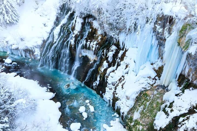 Asahiyama Adventure: Zoo+Waterfalls & Blue Pond Day Tour - Exploring Hokkaido’s Wild and Scenic Side in One Day