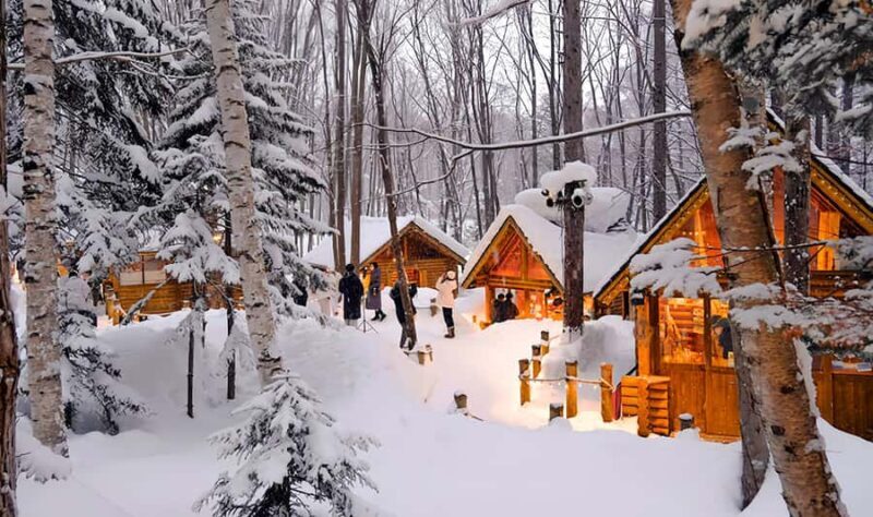 Asahiyama Adventure: Zoo+Waterfalls & Blue Pond Day Tour - Who Should Consider This Tour?