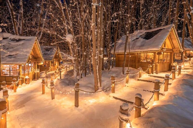 Asahiyama Adventure: Zoo+Waterfalls & Blue Pond Day Tour - Wrapping Up