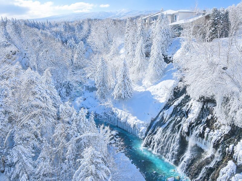 Asahiyama Zoo & Biei Blue Pond & Shirogane Falls or Farm Tomita Day Trip (Departing from Sapporo, Hokkaido, includes original souvenir) - What the day trip can fit into one day