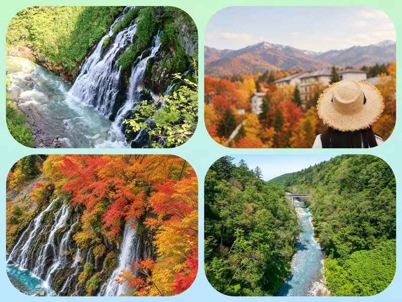 Asahiyama Zoo & Biei Blue Pond & Shirogane Falls or Farm Tomita Day Trip (Departing from Sapporo, Hokkaido, includes original souvenir) - Should you book this Sapporo day trip?