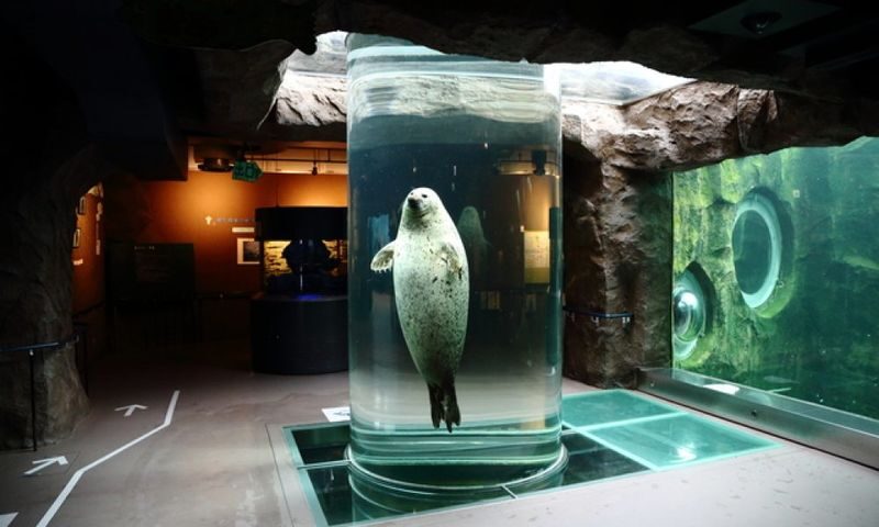 Asahiyama Zoo & Farm Tomita Full-Day Nature Tour - Guide language and meeting times