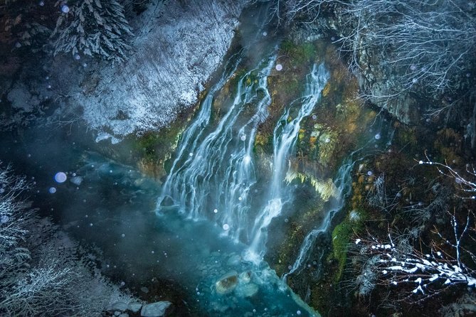 Asahiyama Zoo, Fascinating Aoi-Ike Light Up and Shirohige Falls in Winter! - Tips for Visiting in Winter
