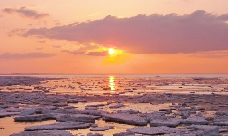Asahiyama Zoo & Frozen Ice Sea Sunset Cruise Day Trip from Sapporo - At a glance: zoo time, ice time, and a lot of road