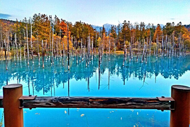 Asahiyama Zoo, Shirahige Falls, Biei, and Blue Pond Day Tour - Frequently Asked Questions