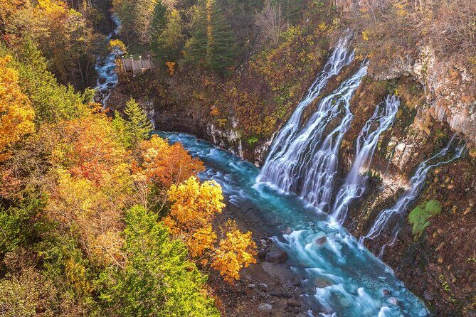 Asahiyama Zoo, Shirahige Falls, Biei, and Blue Pond Day Tour - Final Thoughts