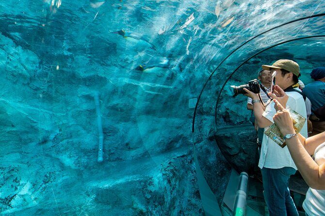 Asahiyama Zoo, Shirahige Falls, Biei, and Blue Pond Day Tour - FAQ