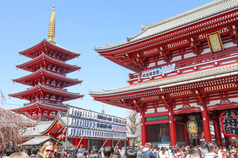 Asakusa Culture & Matcha Making Walking Tour with Lunch - A hands-on lunch in Asakusa’s backstreets