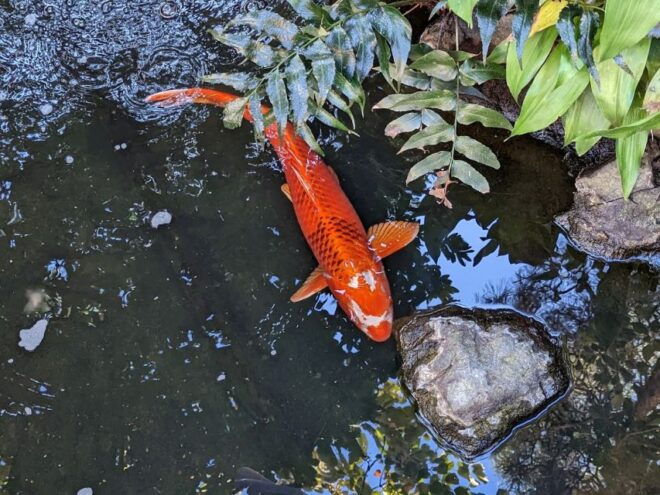 Asakusa: Exquisite Lunch After History Tour - Itinerary for the History Tour