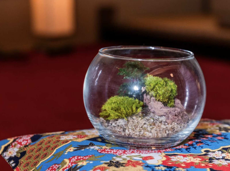 Asakusa Jusen-in Moss art experience - Key points to know before you book