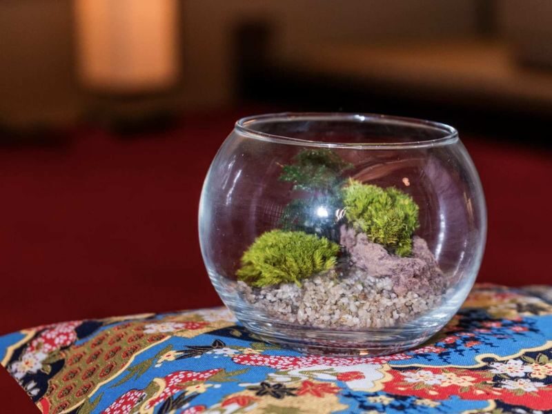 Asakusa Jusen-in Moss art experience - Should you book the Asakusa moss art experience?