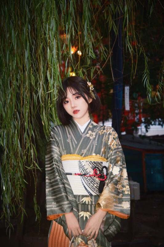 Asakusa Kimono & Furisode Rental Experience (Tokyo / Provided by Wasou Komachi Kanon) - Should you book the Asakusa kimono rental?