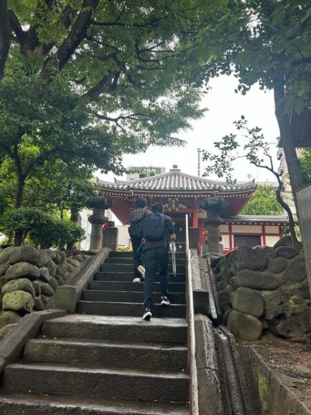 Asakusa: Private Tour, Licensed Guide and Chauffeur Service - Flexible Travel Plans