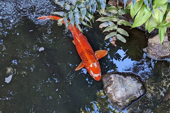 Asakusa: Traditional Exquisite Lunch After History Tour - Price and Refund Policy