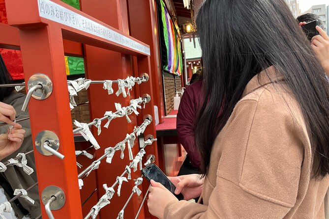 Asakusa & Ueno (Ameyoko)Tour - Tour Details