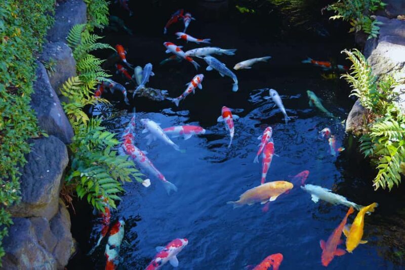 Asakusa Walk: Senso-ji, Nakamise & Local Gems - Exploring Tokyo’s Historic Neighborhood