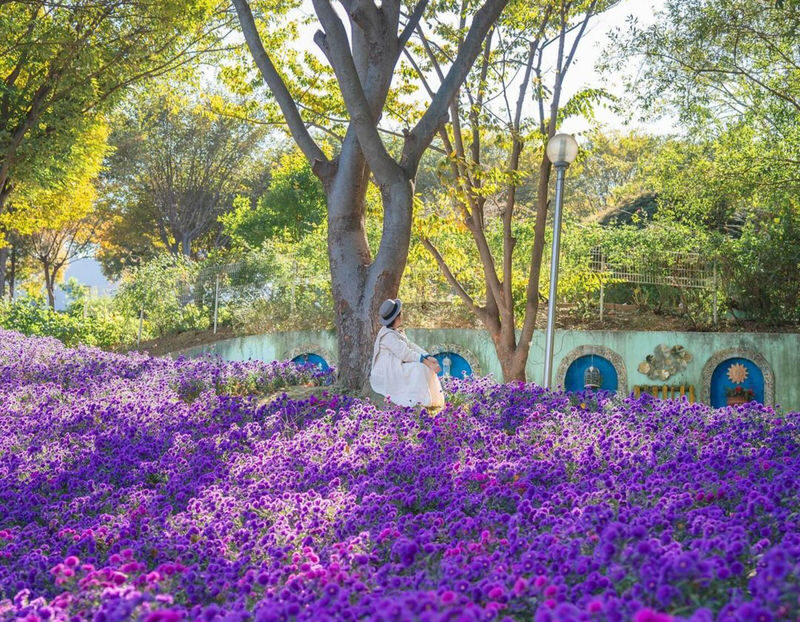Asan Flower Festival & 500-Year-Old Oeam Folk Village Day tour - Oeam Folk Village: old homes in a living community
