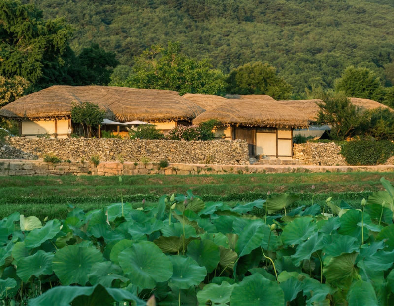 Asan Flower Festival & 500-Year-Old Oeam Folk Village Day tour - What the price covers, and what it does not