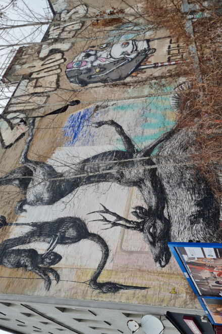 Asana Exploration in Berlin With Yoga, Street Art and More - Yoga Class Experience