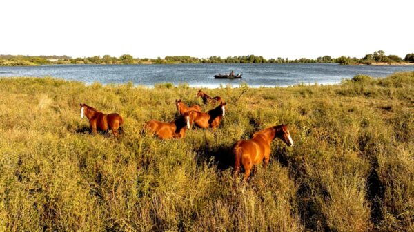 Ascend the River: a Unique Experience From Lisbon to Valada - Booking and Cancellation