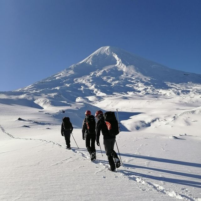 Ascent to Llaima Volcano, 3,125masl, From Pucón - Activity Details