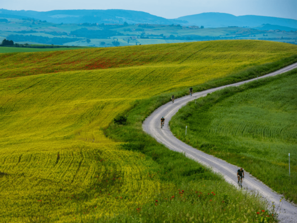 Asciano & Crete Senesi:E-BIKE Tour+Pick-up & Drop-off by Van - E-Biking in Crete Senesi