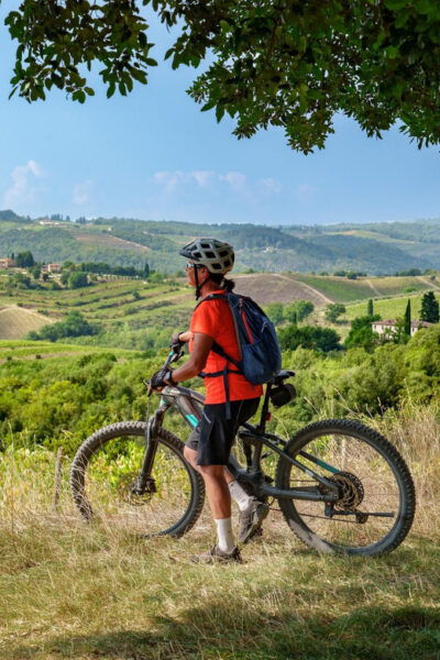 Asciano & Crete Senesi:E-BIKE Tour+Pick-up & Drop-off by Van - Wine Tasting Experience