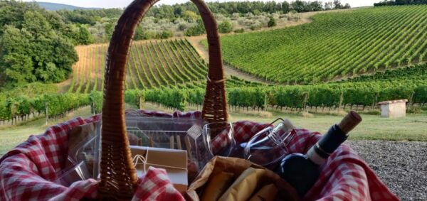 Asciano & Crete Senesi:E-BIKE Tour+Pick-up & Drop-off by Van - Frequently Asked Questions