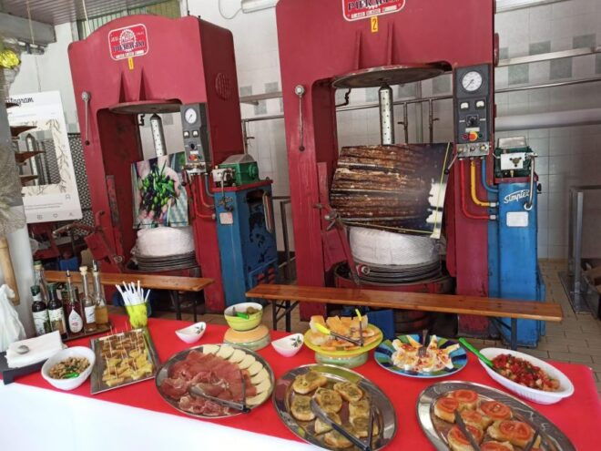Ascoli Piceno: Olive Oil Tasting With Local Products - Inclusions