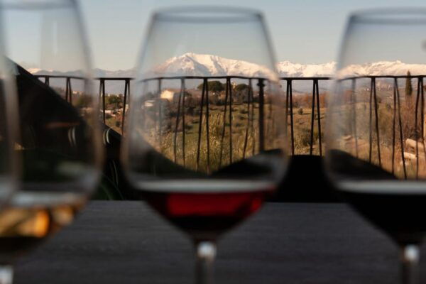 Ascoli Piceno: Olive Oil & Wine Tasting Private Driven Tour - Frequently Asked Questions