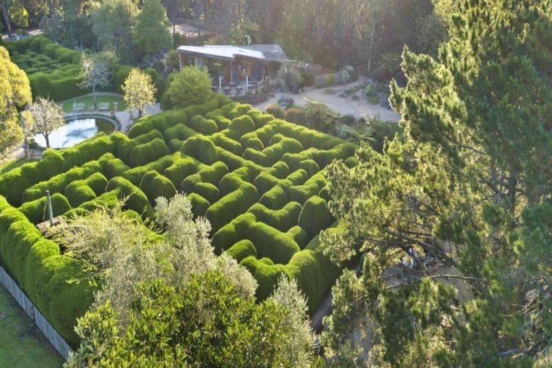 Ashcombe Maze and Lavender Gardens ticket - What the ticket costs, and what it covers
