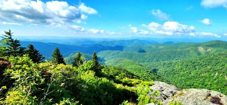 Asheville: Hidden Gems Tour in The Blue Ridge Mountains - Tour Highlights