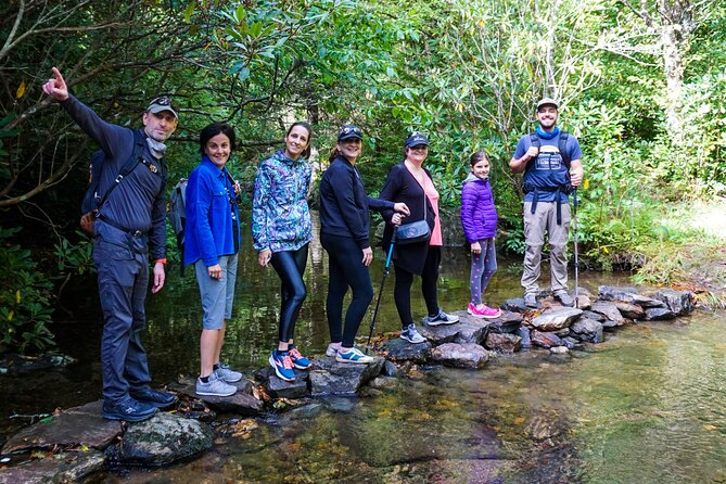 Asheville Waterfall Small-Group Tour - Product Code, Price, Copyright, and Terms & Conditions