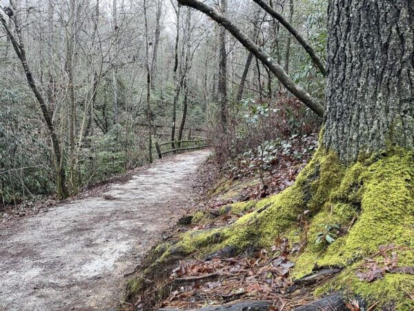 Asheville Waterfall Yoga Hike: Find Your Zen in Nature! - Yoga Session Details