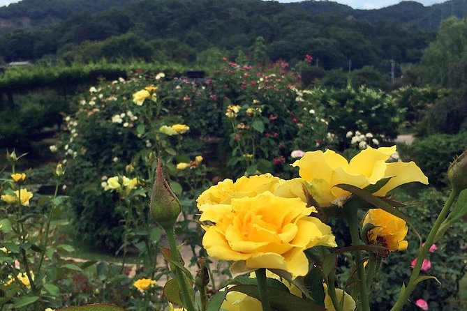 Ashikaga Flower Park Private Day Tour - Inclusions