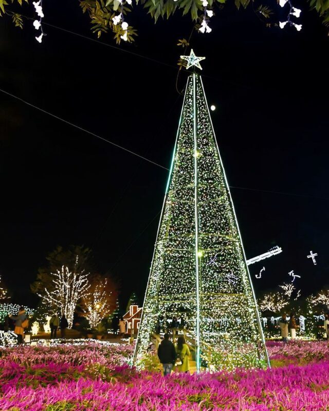 Ashikaga Flower Park & Sano Outlets Full-Day Private Tour - What the Sano Outlets add