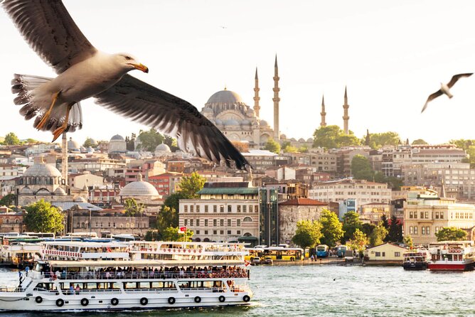Asian Side of Istanbul Tour - Half-Day Small Group Tour - Inclusions and Tour Guide