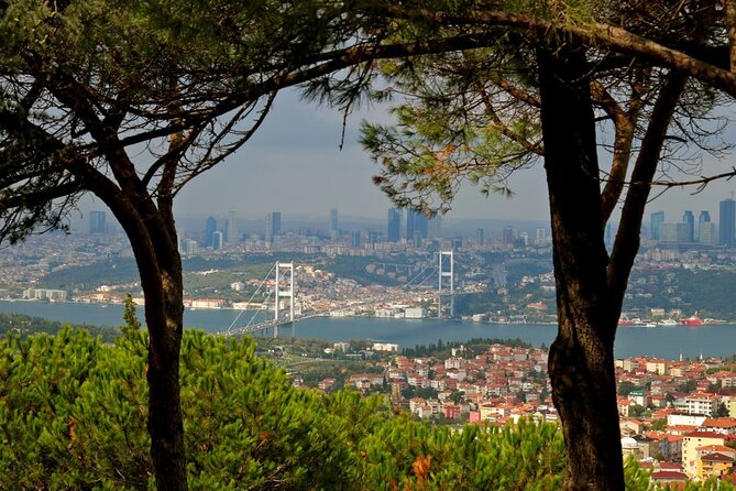 Asian Side of Istanbul Tour - Half-Day Small Group Tour - Bosphorus Bridge History
