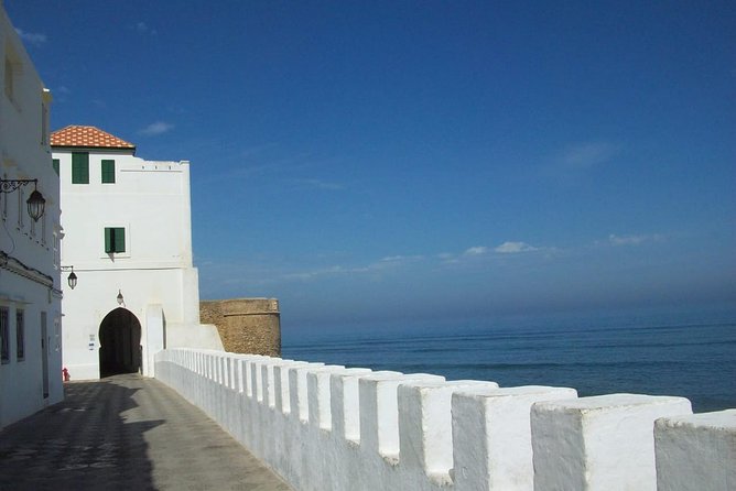 Asilah and Tangier Sightseeing Tour & Camel Ride - Reviews and Ratings