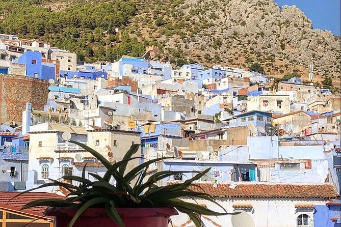 Asilah /Chefchaouen Blue City Day Trip From Tangier - Common Questions