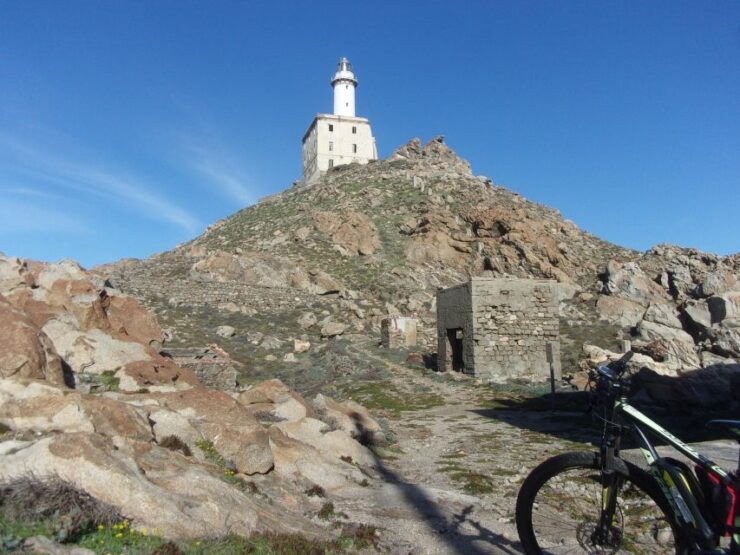 Asinara by Bike: Bike Tour to Discover the Park - Tour Details