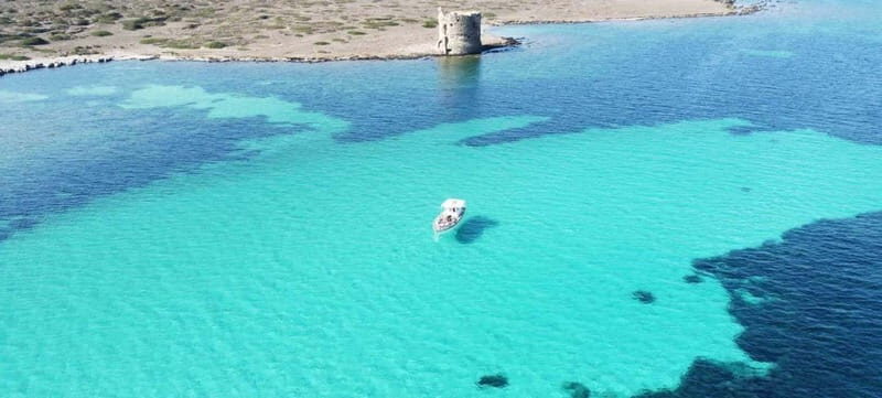 Asinara by Boat: Half-Day Morning Tour among crystal clear waters - Good To Know