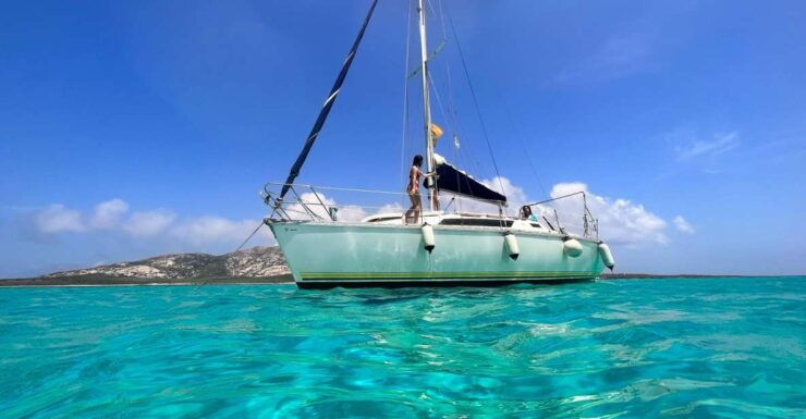 Asinara: Full Day Sailboat Excursion From Stintino - Experience Highlights