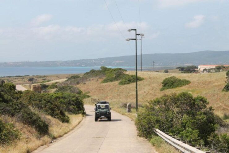 Asinara National Park: Full Day Off-Road Tour - Tour Details